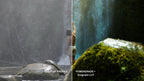 Cinematic Powergrade & Colourgrading Masterclass