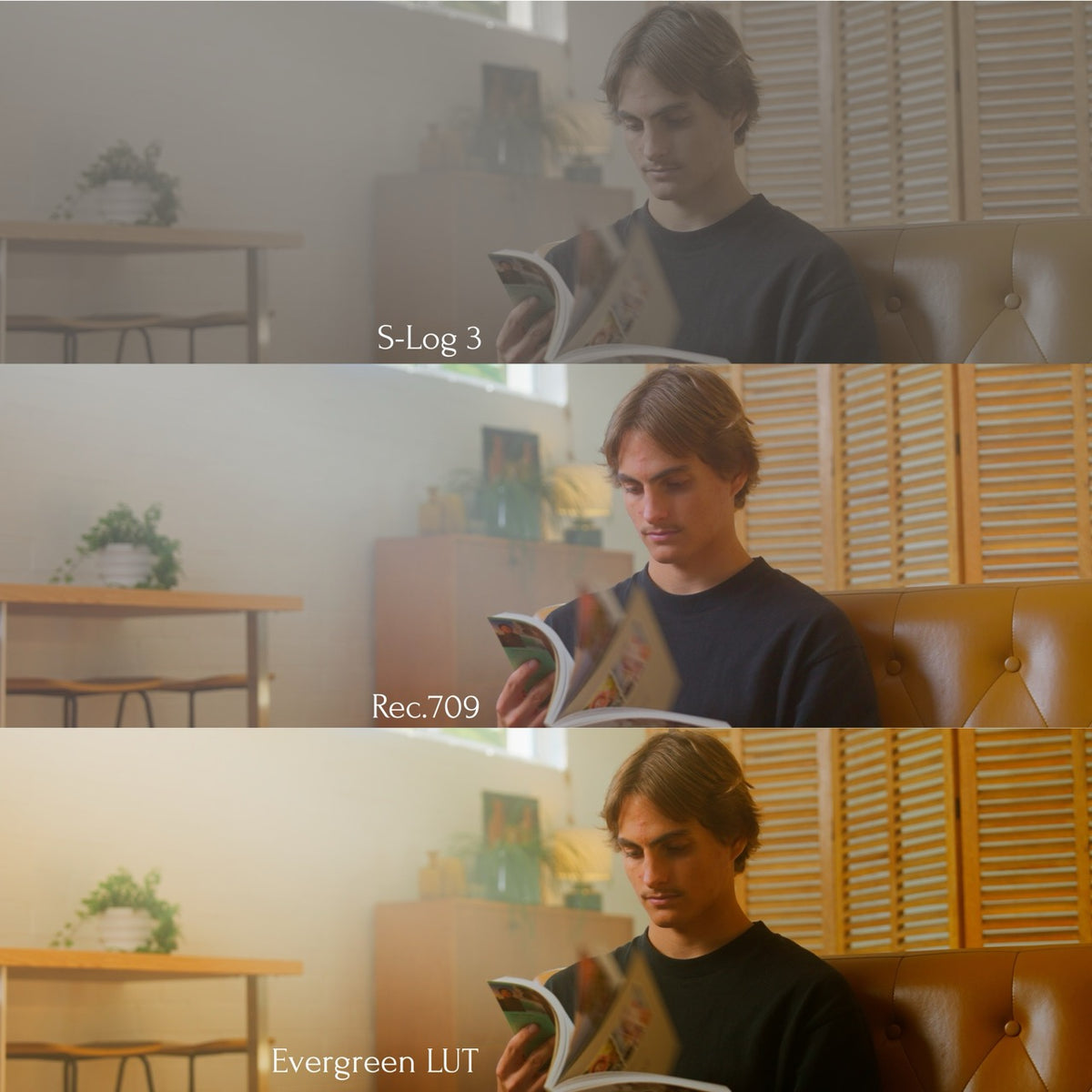 Evergreen LUT Collection
