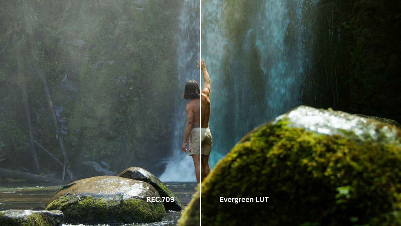 Evergreen LUT Collection