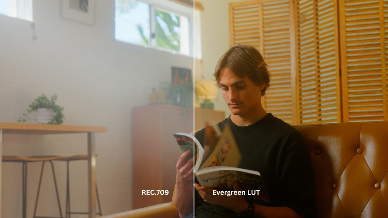 Evergreen LUT Collection