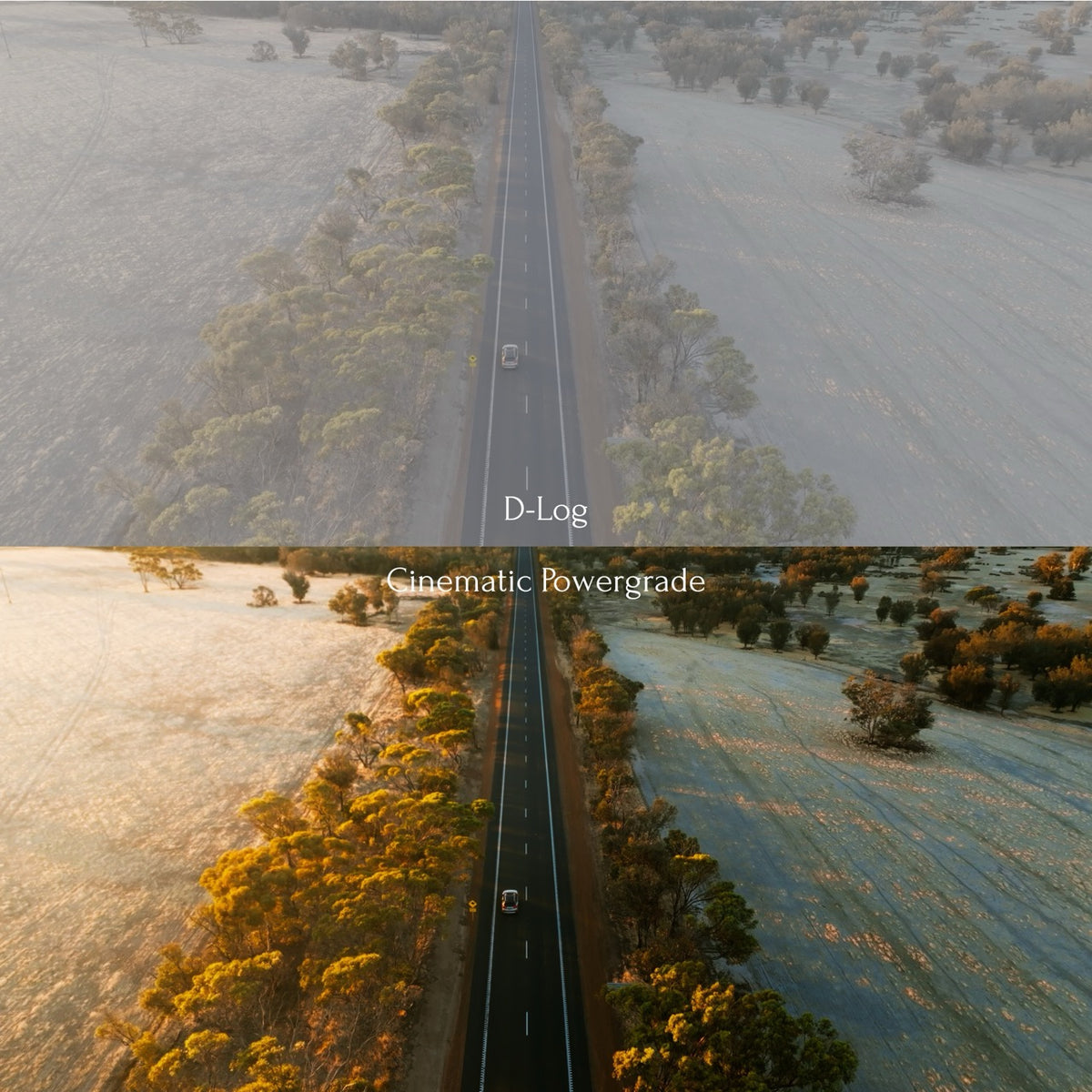 Cinematic Powergrade & Colourgrading Masterclass