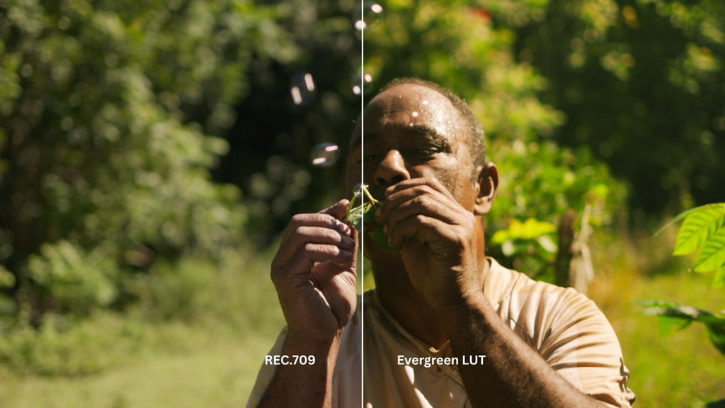 Evergreen LUT Collection