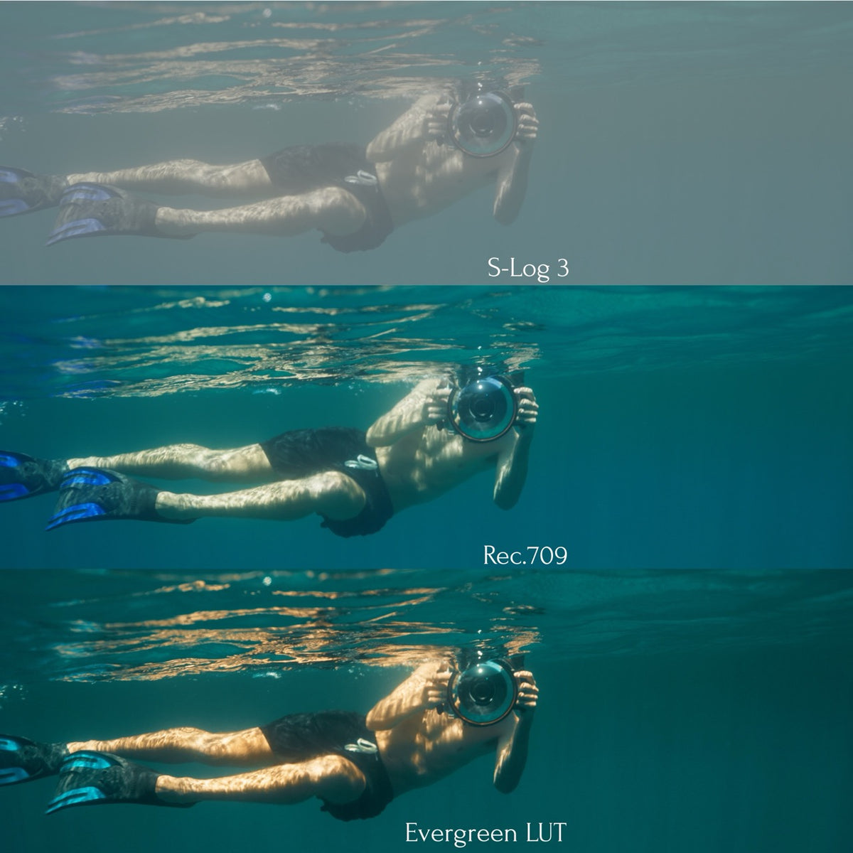 Evergreen LUT Collection