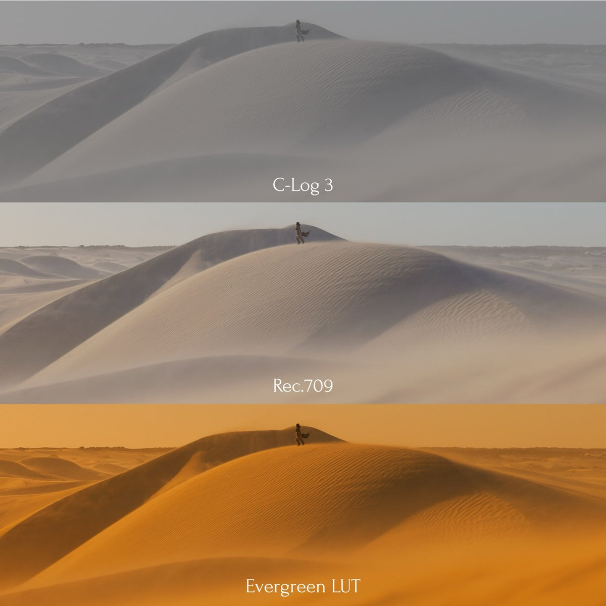 Evergreen LUT Collection