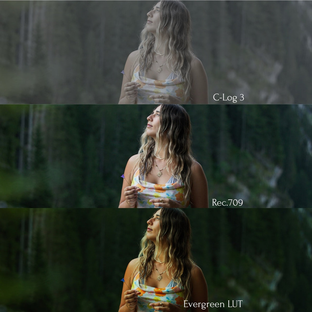 Evergreen LUT Collection