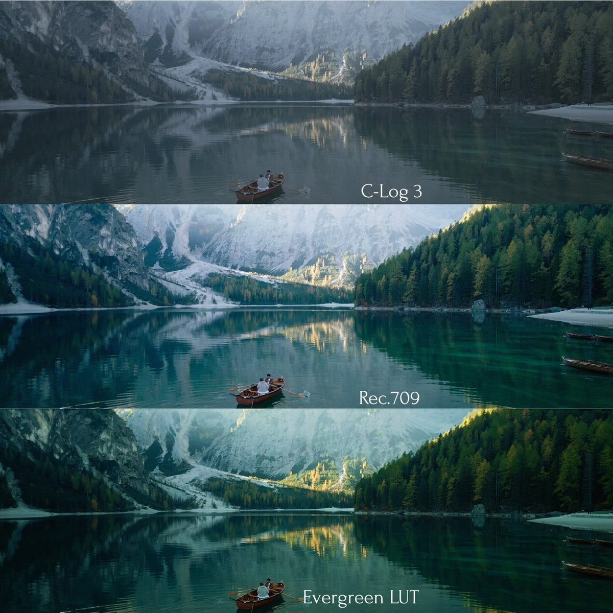 Evergreen LUT Collection