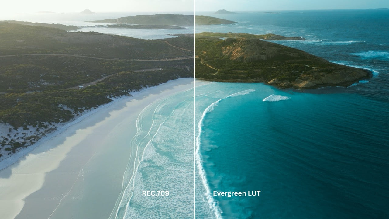 Evergreen LUT Collection