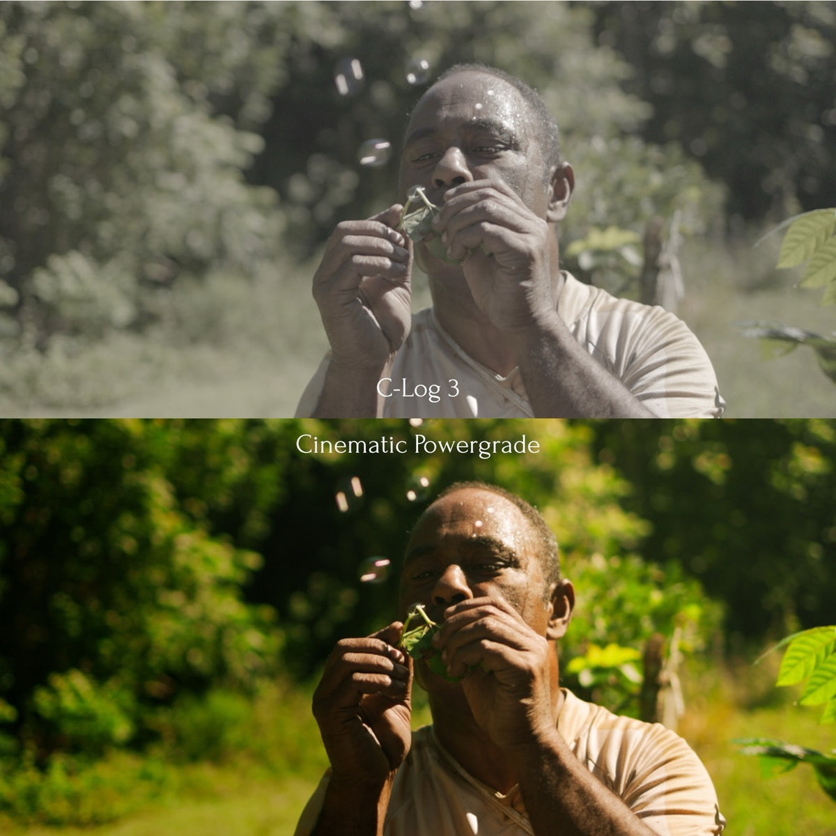 Cinematic Powergrade & Colourgrading Masterclass