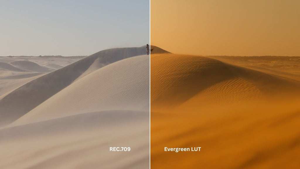 Evergreen LUT Collection