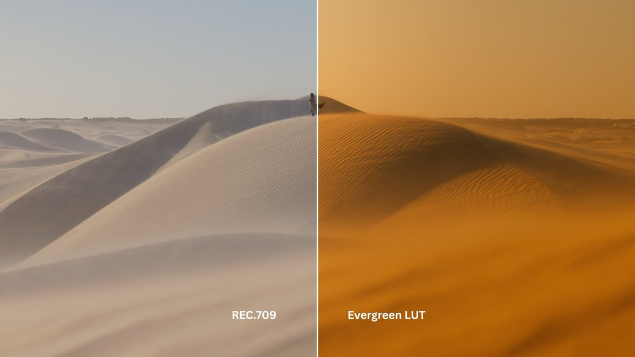 Evergreen LUT Collection
