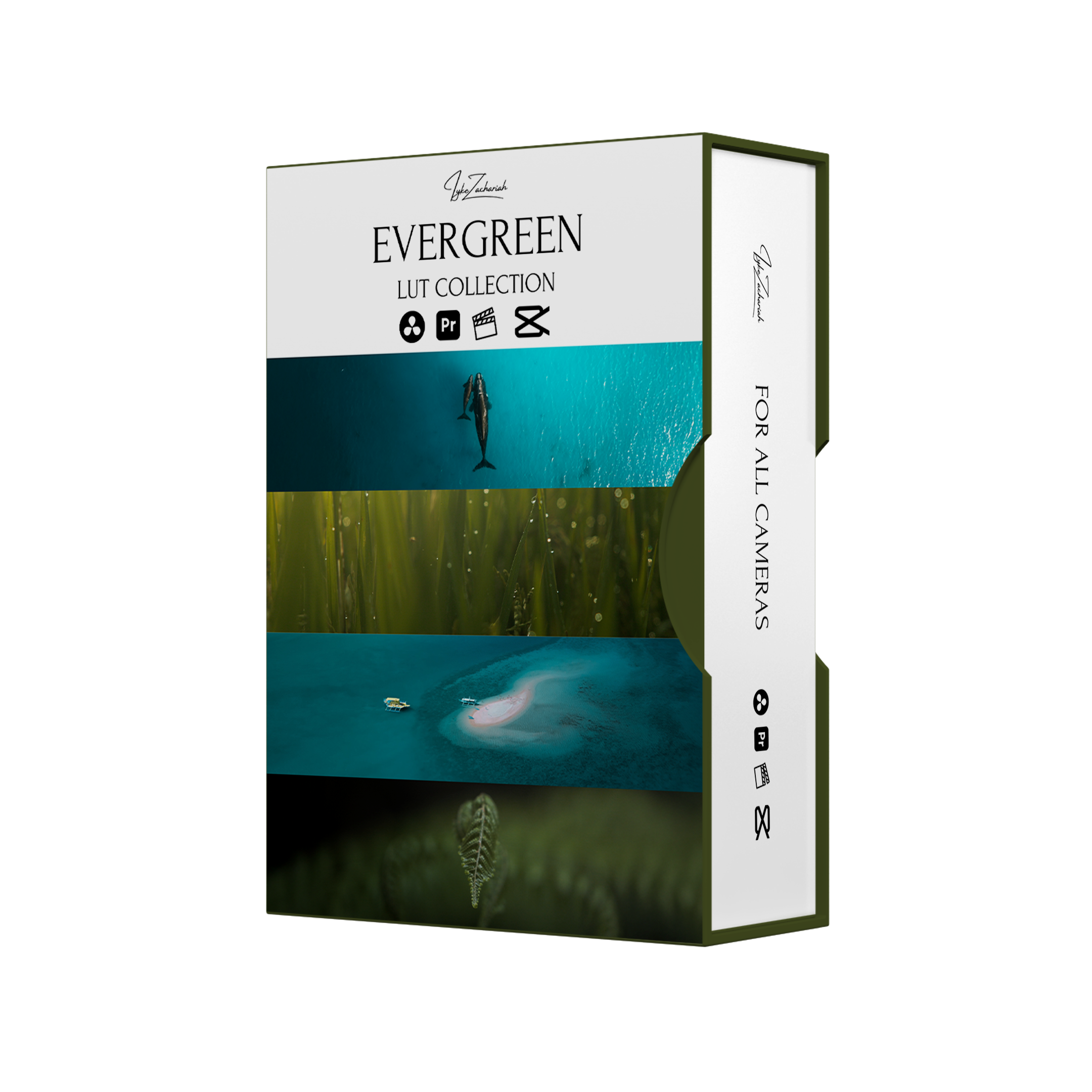 Evergreen LUT Collection